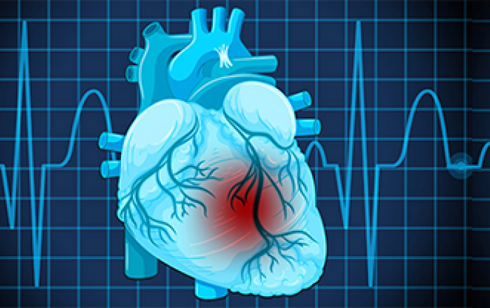 illustrazione di un cuore su uno sfondo blu con un tracciato ecg