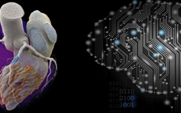 immagine del cuore e schema di un microchip a forma di cervello