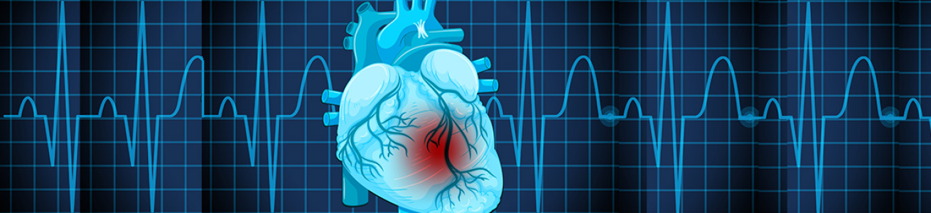 illustrazione di un cuore su uno sfondo blu con un tracciato ecg